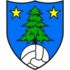 FC Saint-Leonard