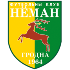 The Neman Grodno logo