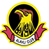 The Al Ahli logo