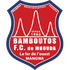 The Bamboutos logo