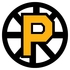 The Providence Bruins logo