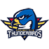 The Springfield Thunderbirds logo