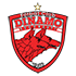 The FC Dinamo Bucuresti logo