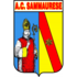 The Sammaurese logo