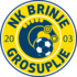 The NK Brinje Grosuplje logo