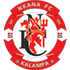 The Nkana FC logo