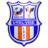 The URSL Vise logo