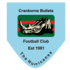 The Cranborne Bullets FC logo