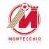 The Montecchio Maggiore logo