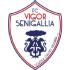 The Senigallia logo
