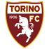 The Torino U19 logo