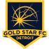 The Gold Star FC Detroit logo