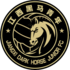 The Jiangxi Dark Horse Junior FC logo