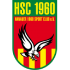 The Hanauer SC 1960 logo