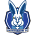 The Chanthaburi FC logo