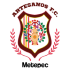 The Artesanos Metepec FC logo