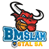 The Stal Ostrow logo