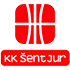 The KK Sentjur Tajfun logo