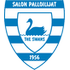 The SalPa Salo logo