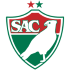 The Salgueiro logo