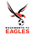 The Edgeworth Eagles logo