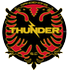 The Dandenong Thunder SC logo