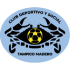 The CDS Tampico Madero logo