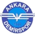 The Ankara Demirspor logo