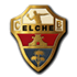 The Club Balonmano Elche Mustang (W) logo