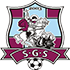 The FC Sfintul Gheorghe logo