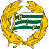 The Hammarby IF DFF (W) logo