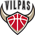 The Salon Vilpas Vikings logo