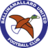 The Ballinamallard United logo