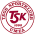The Team TG FF logo