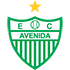 The Avenida logo
