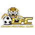 The Tigers FC logo