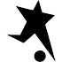 The Black Stars logo