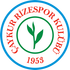The Rizespor logo