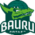 The Bauru Sao Paulo logo
