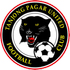 The Tanjong Pagar United FC logo