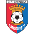 The Chindia Targoviste logo