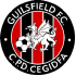 The Guilsfield FC logo