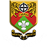 The Caerau Ely logo
