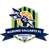 The Marumo Gallants logo