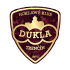 The Dukla Trencin logo