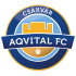 The Csakvar TK logo