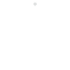 The Floroe logo