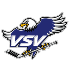 The EC VSV logo
