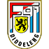 The F91 Dudelange logo