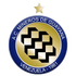 The Mineros De Guayana logo